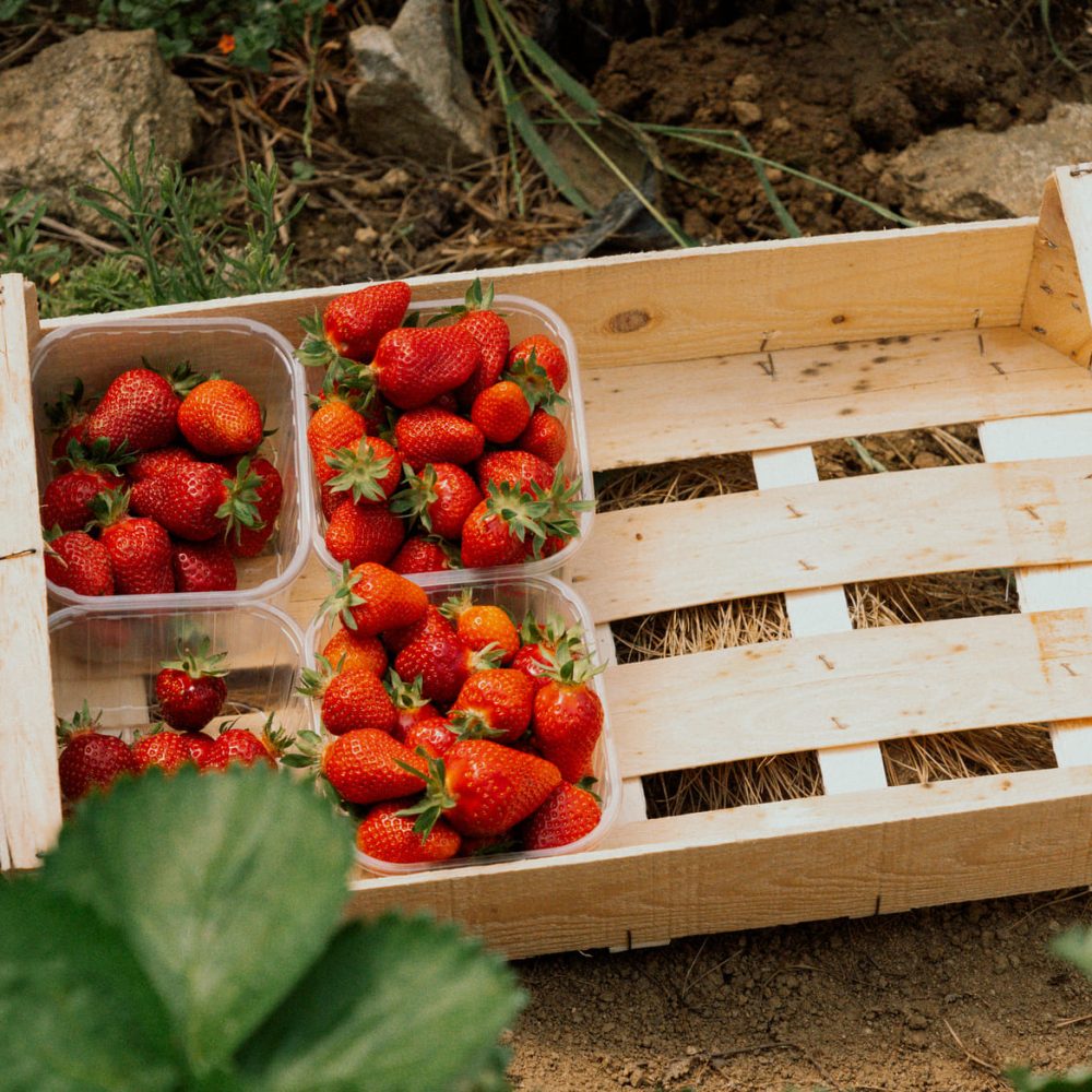 Atelier du Père Maron-09302